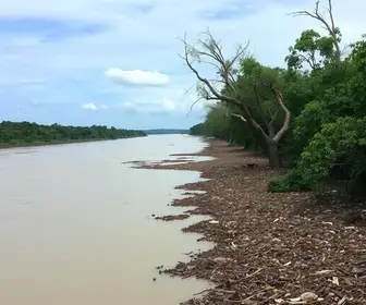 Rio Tietê